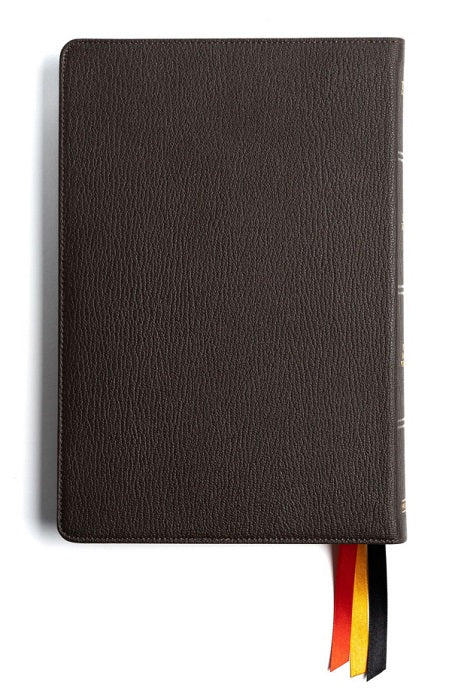 Large Print Thinline Brown Premium Goatskin