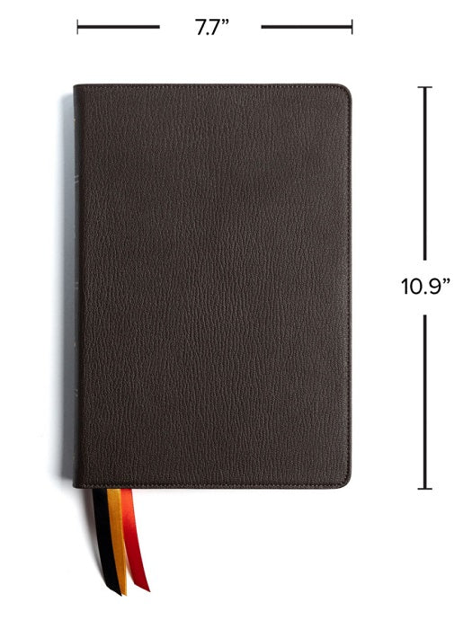 Large Print Thinline Brown Premium Goatskin