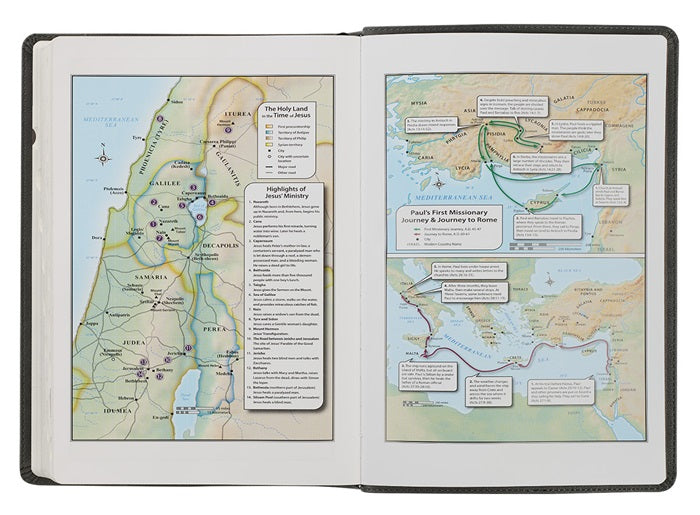 Super Giant Print Gray w/ Black Inlay Bible