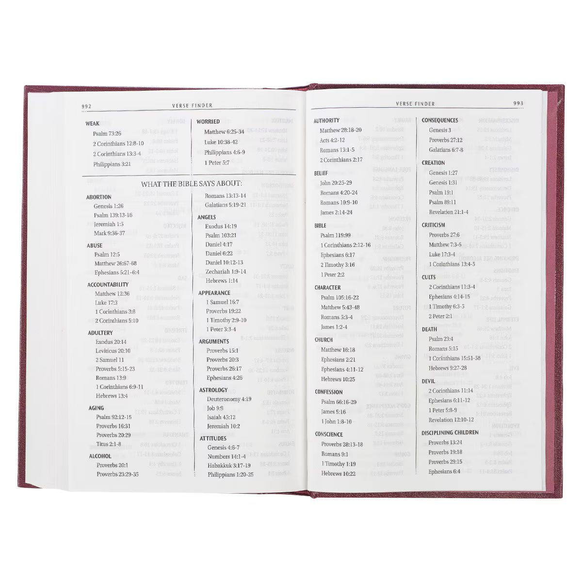 Hardcover Burgundy Pew Bible