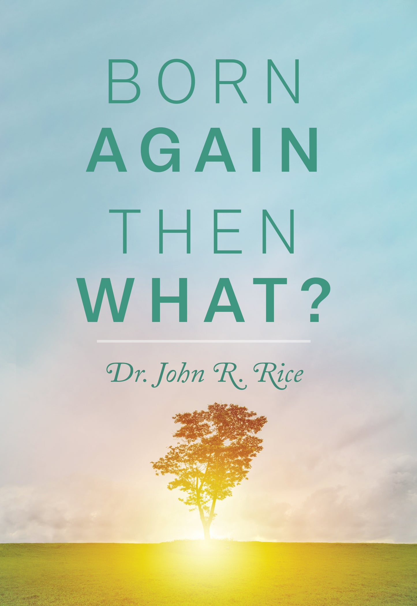 Born Again, Then What?