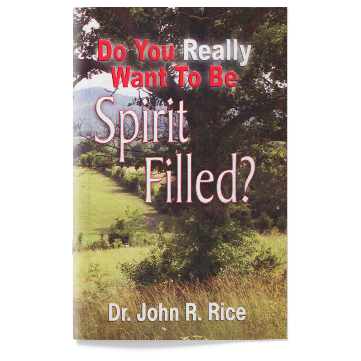 Do You Really Want to Be Spirit-Filled?