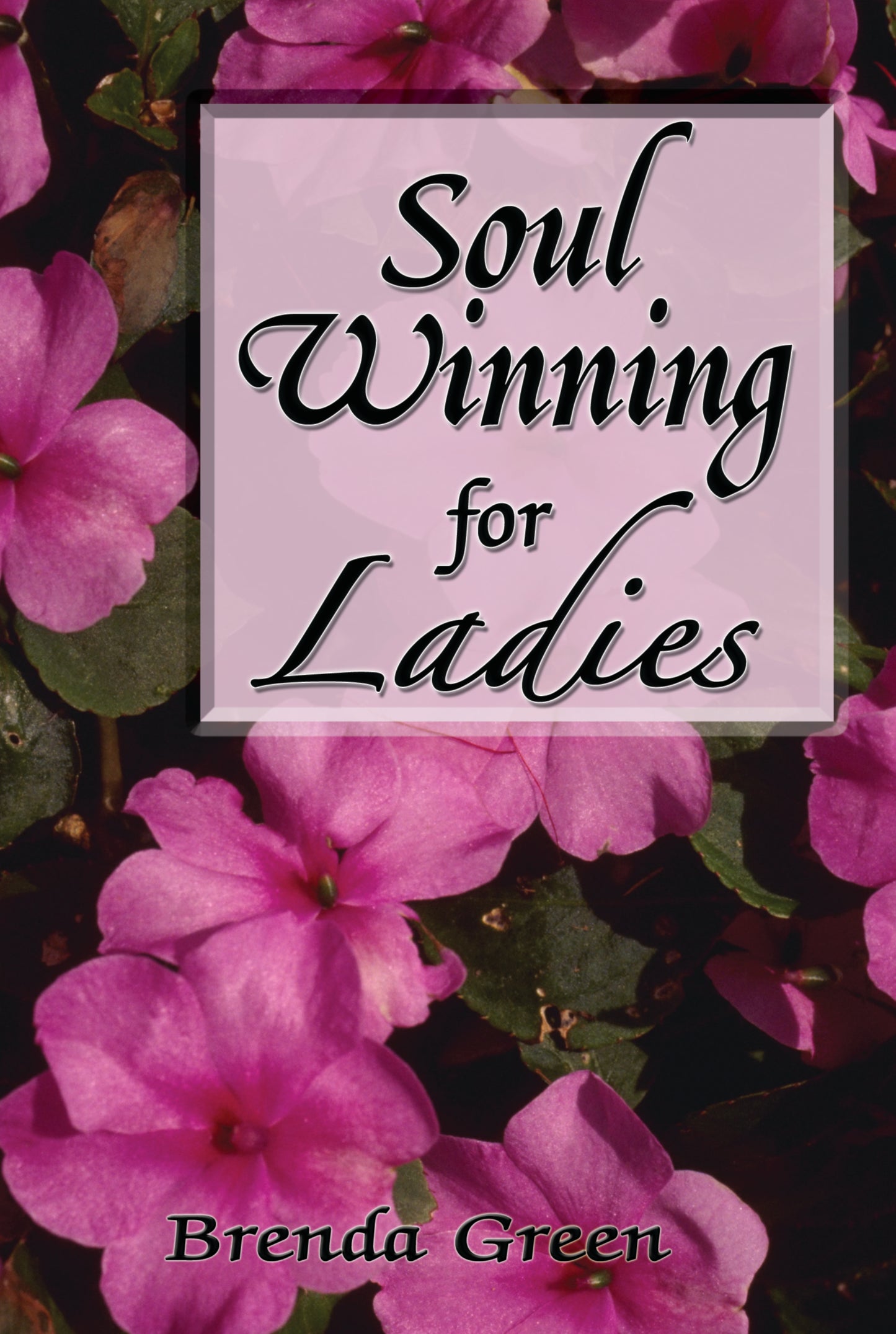 Soul Winning for Ladies