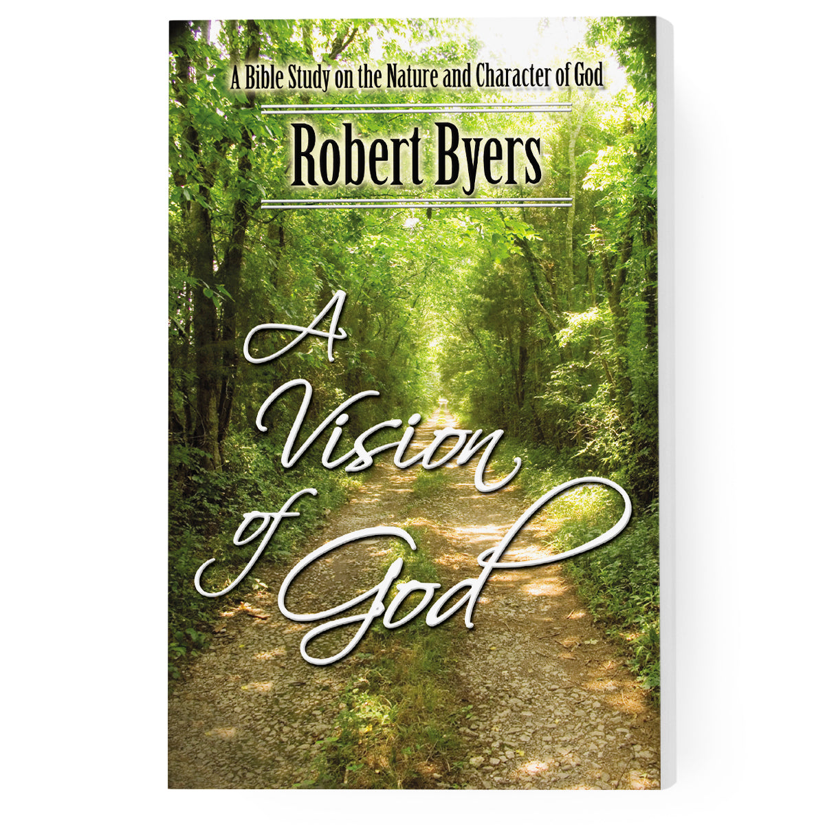 A Vision of God: A Bible Study on the Nature and Character of God