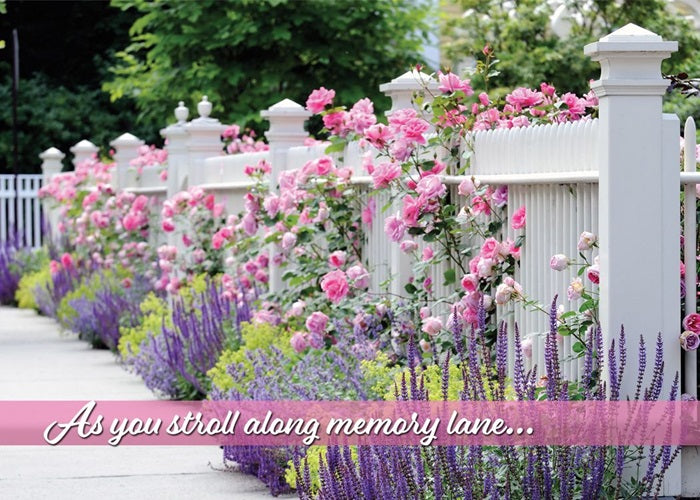 Garden Splendor