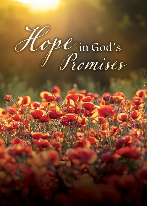 Glimmers of Hope