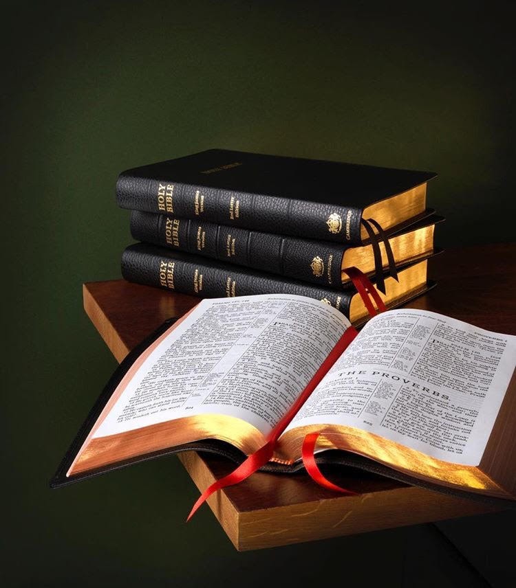 Cambridge Turquoise Reference Bible, Black Calf Split Leather, Red Letter