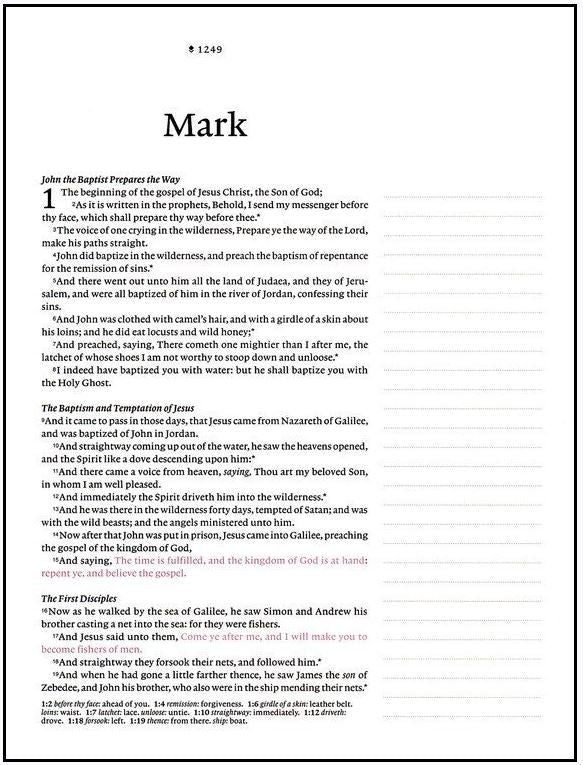 Wide Margin Bible, Pink Rose Garden