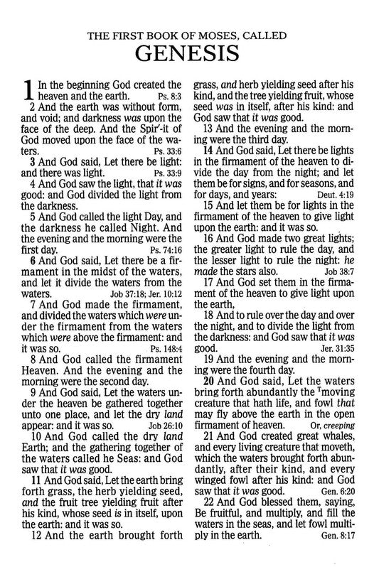 Giant Print Reference Bible Charcoal Leathertouch