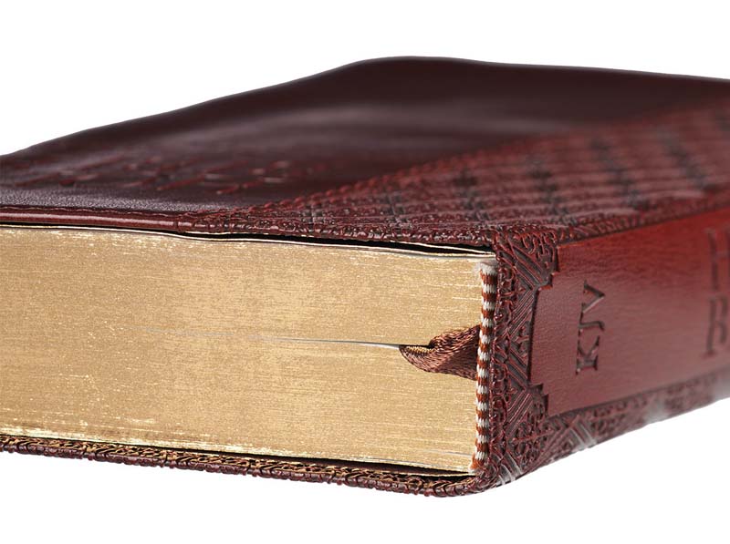 Pocket Edition Brown Bible