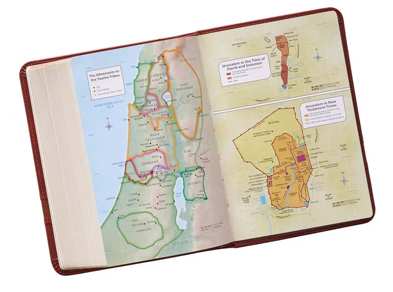 Compact Large Print Brown Bible