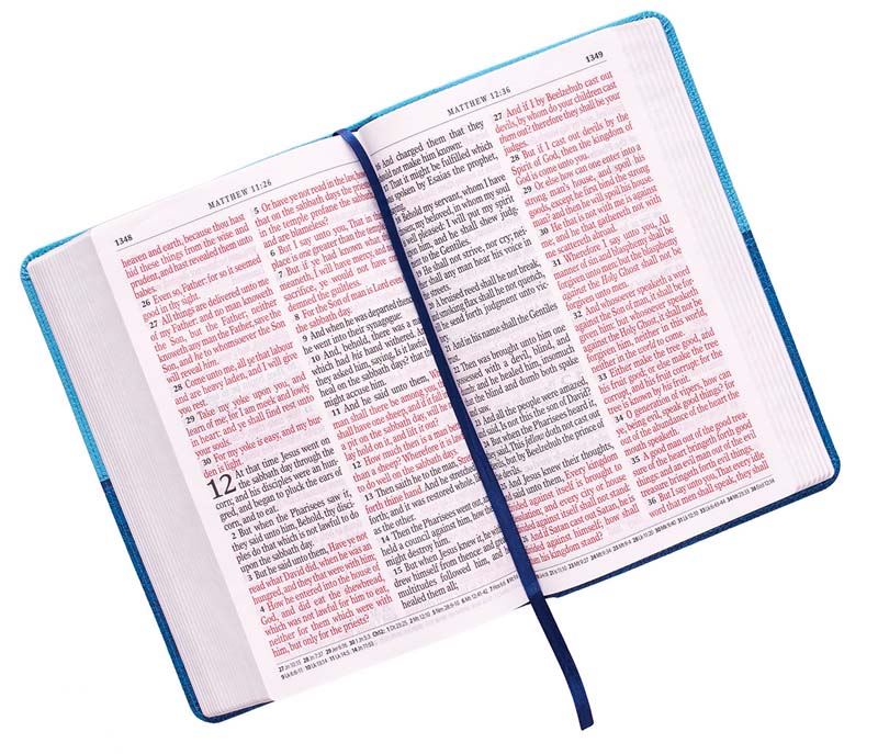 Giant Print Standard Size Blue Bible