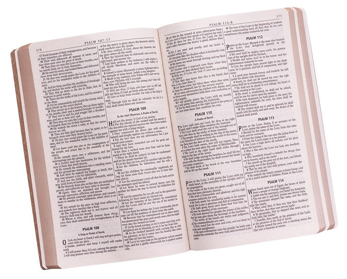 Faux Leather Tan Gift & Award Bible