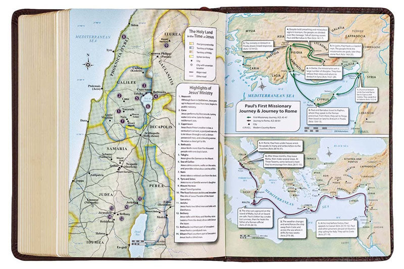 Compact Large Print Medium Brown Bible