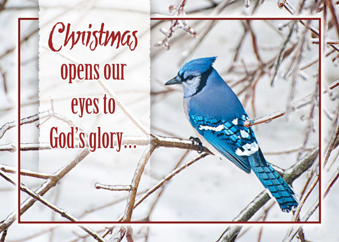 Christmas Birds