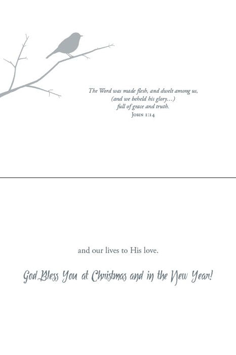 Christmas Birds
