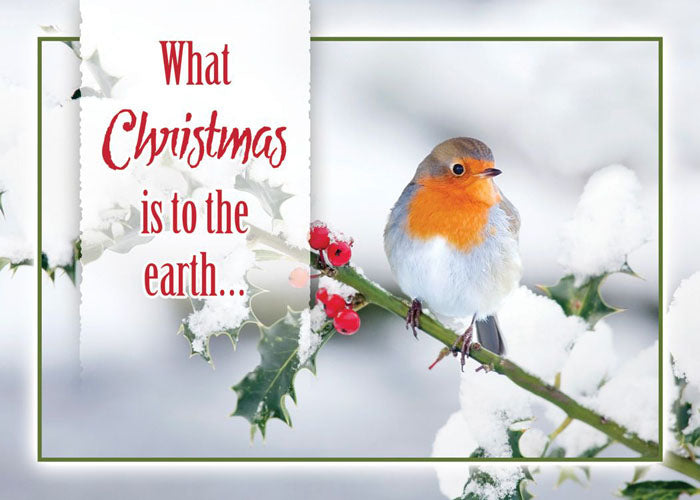 Christmas Birds