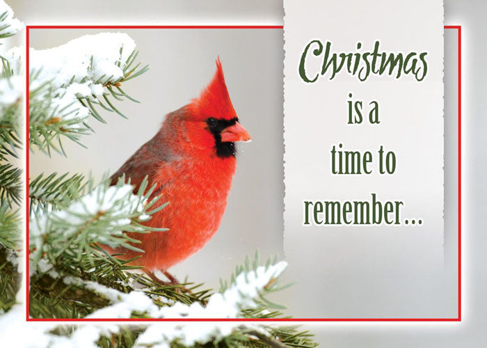 Christmas Birds