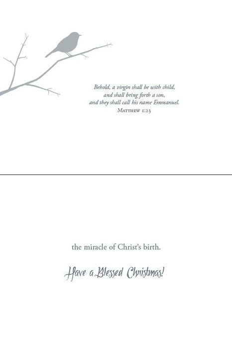 Christmas Birds
