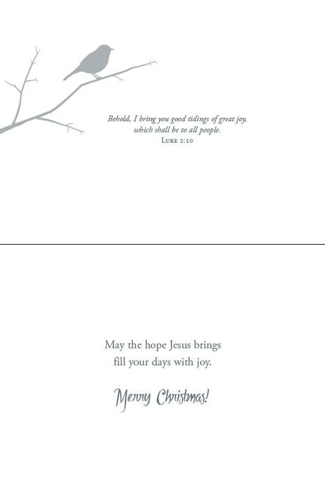 Christmas Birds