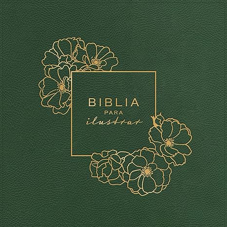 RVR 1960 Biblia Para Ilustrar Verde Simil Piel