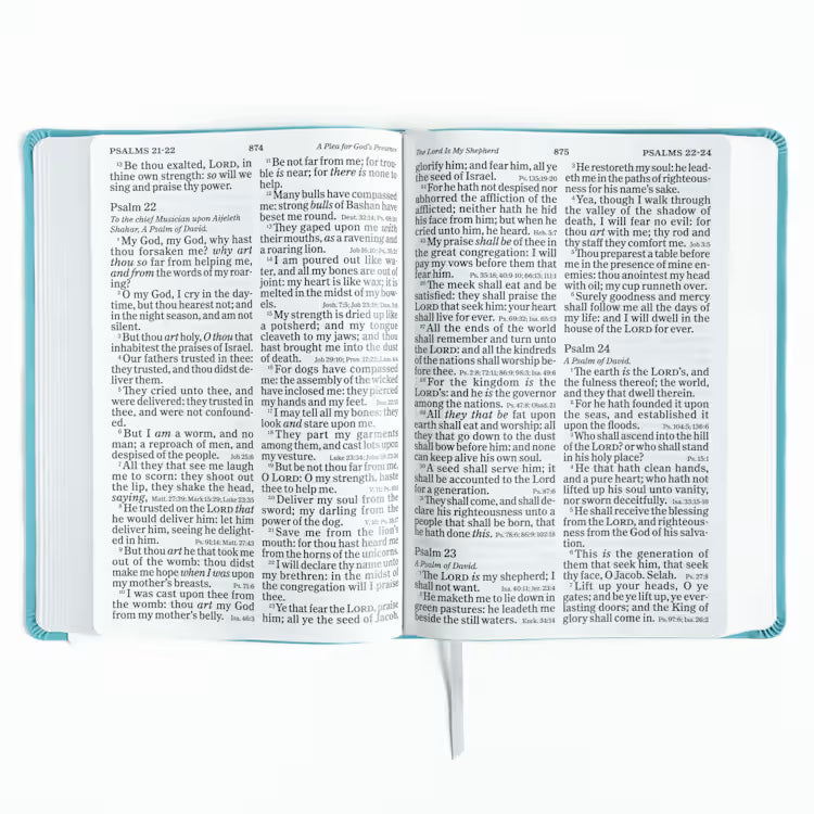 Super Giant Print Reference Bible, Value Edition, Blue Leathertouch