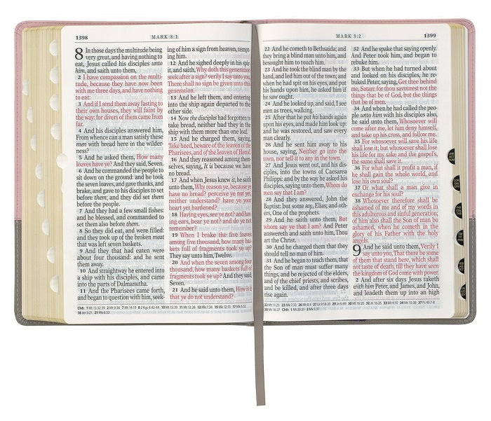 Pink and Gray Super Giant Print Bible w/ Thumb Index