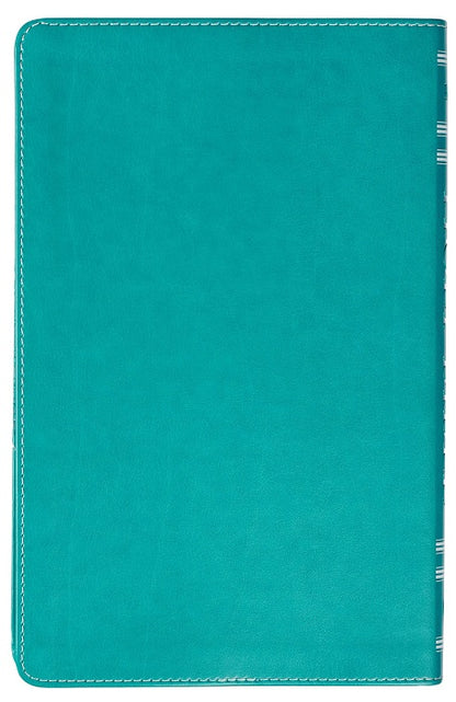 Teal Butterfly Gift Bible