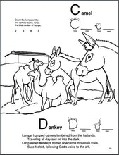 Load image into Gallery viewer, Noah&#39;s Ark: Pre-School Activity Book
