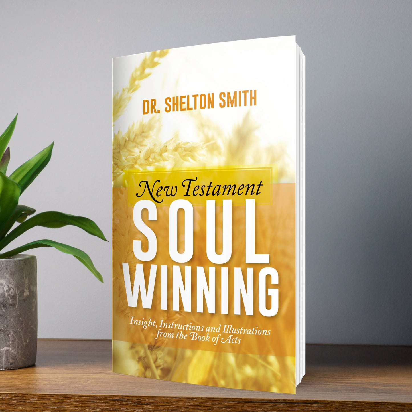 New Testament Soul Winning: Insight, Instructions and Illustrations From the Book of Acts