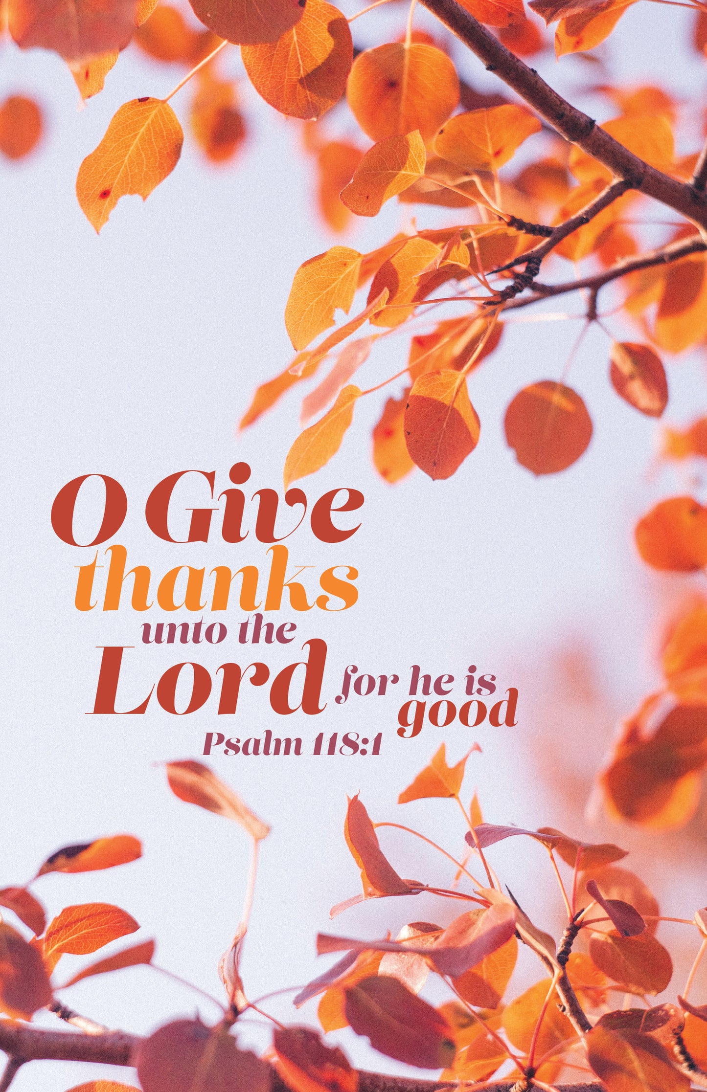 O Give Thanks