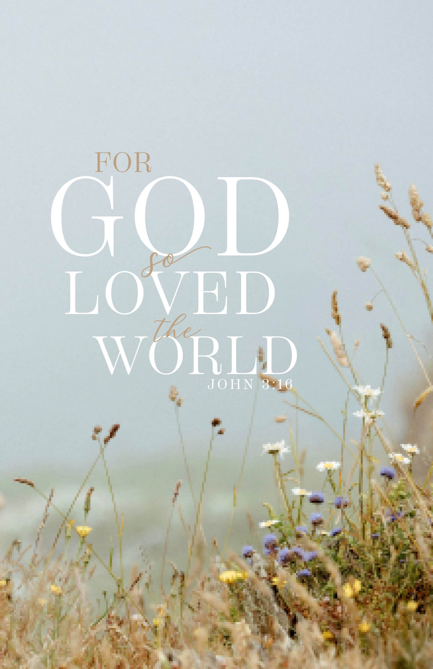 For God So Loved