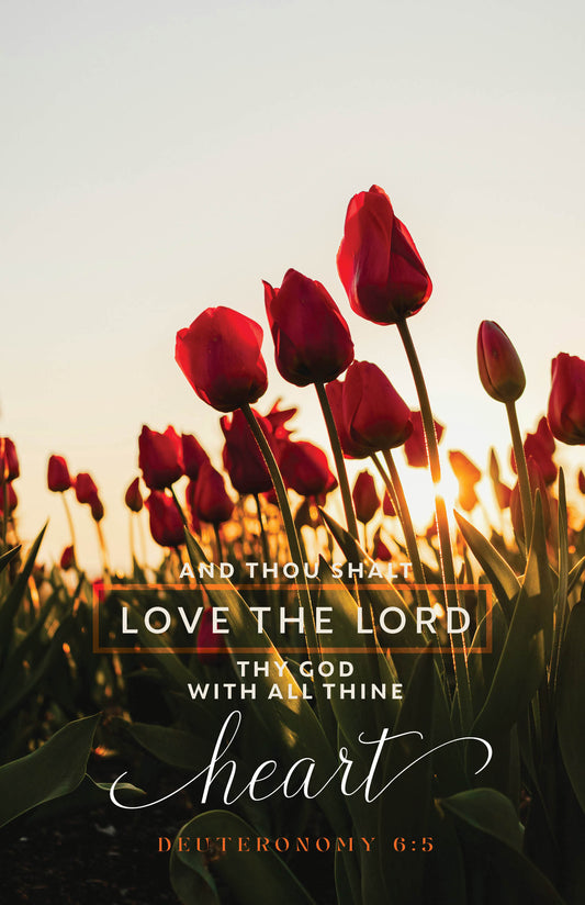 Love The Lord