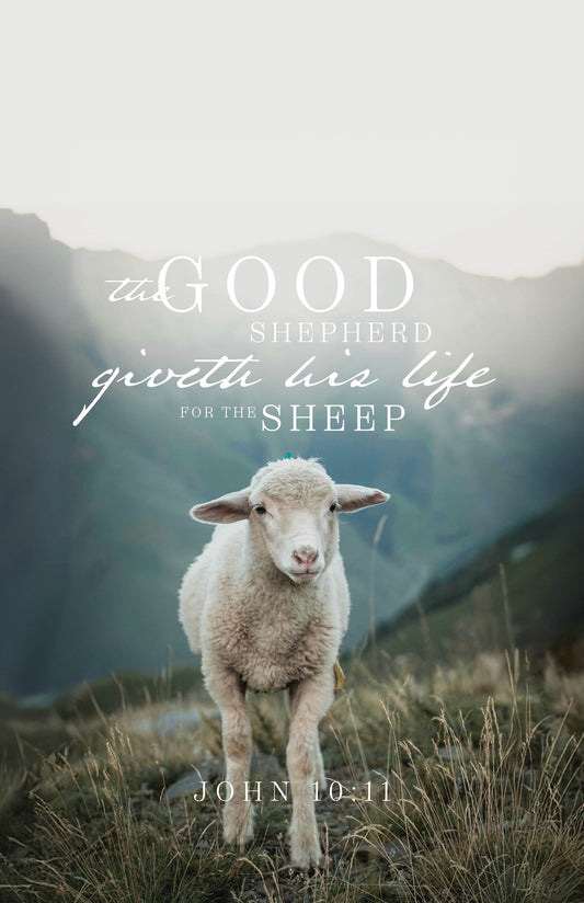 The Good Shepherd