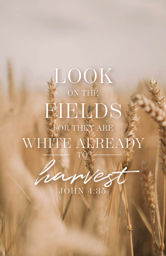 Look On The Fields