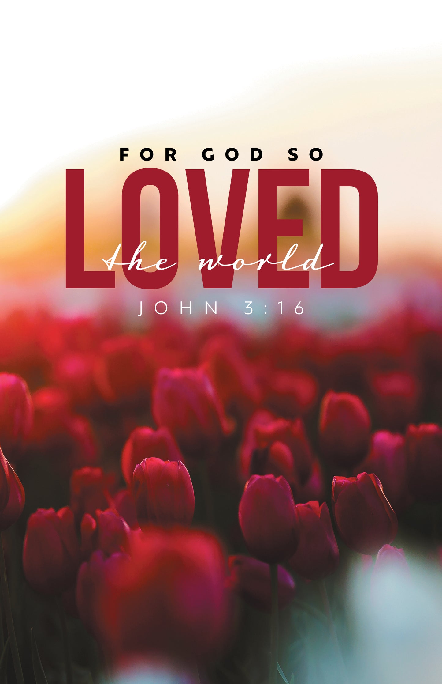 For God So Loved