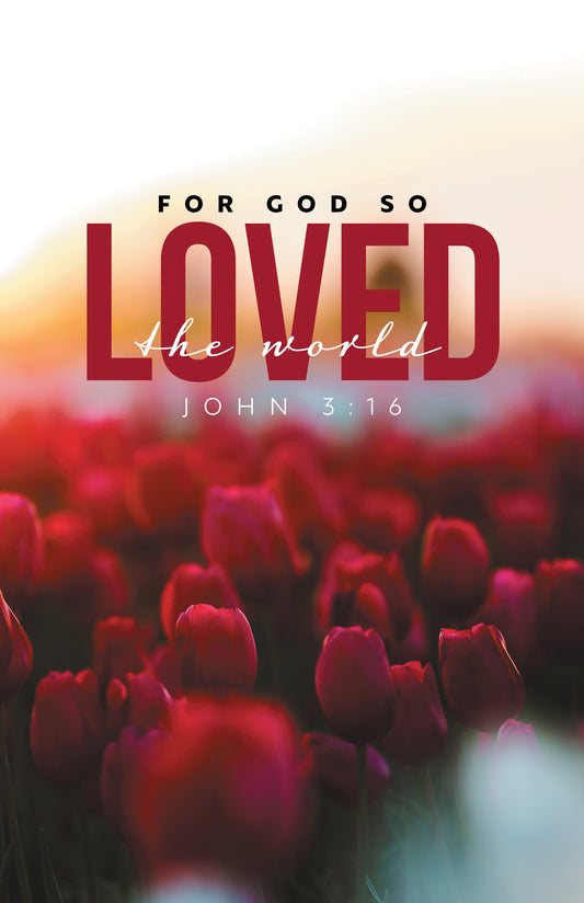 For God So Loved