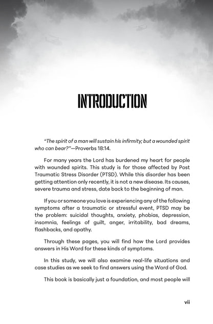Wounded Spirits: A Biblical Approach to Dealing with the Effects of Post Traumatic Stress Disorder