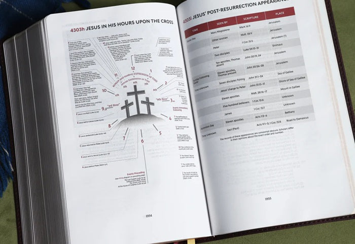 Thompson Chain-Reference Bible, Handy Size, Bonded Black