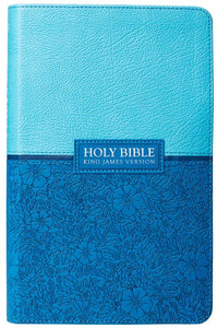 Giant Print Standard Size Blue Bible
