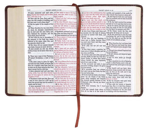 Compact Large Print Medium Brown Bible