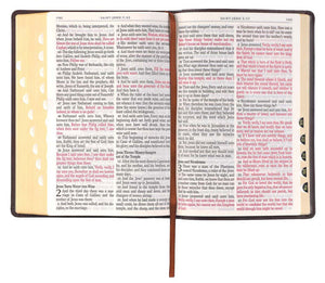 Giant Print Full Size Dark Brown Bible