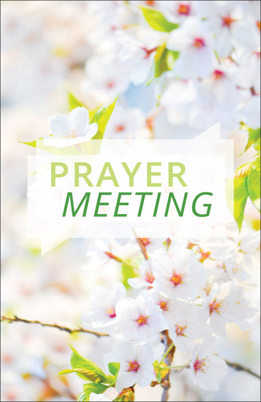 Prayer Meeting - Spring
