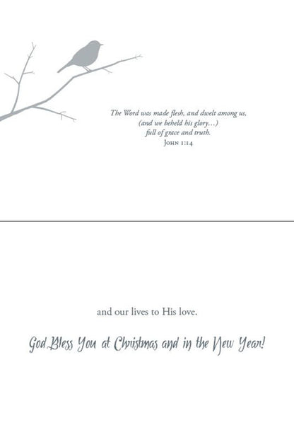 Christmas Birds