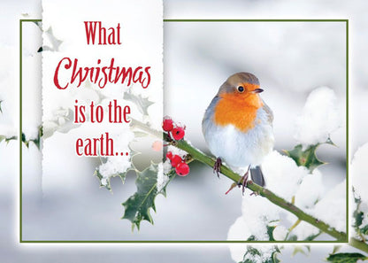 Christmas Birds