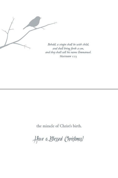 Christmas Birds